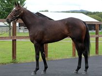 ����å��ǳ��������ɽ�����ޤ�