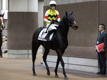 ����å��ǳ��������ɽ�����ޤ�