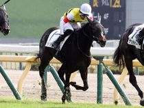 ����å��ǳ��������ɽ�����ޤ�