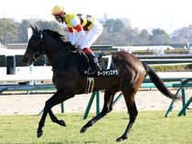 ����å��ǳ��������ɽ�����ޤ�