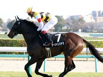 ����å��ǳ��������ɽ�����ޤ�