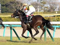 ����å��ǳ��������ɽ�����ޤ�