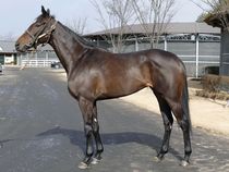 ����å��ǳ��������ɽ�����ޤ�