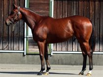 ����å��ǳ��������ɽ�����ޤ�