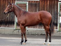 ����å��ǳ��������ɽ�����ޤ�