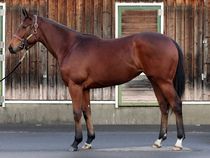 ����å��ǳ��������ɽ�����ޤ�