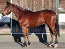 ����å��ǳ��������ɽ�����ޤ�