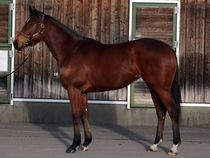 ����å��ǳ��������ɽ�����ޤ�