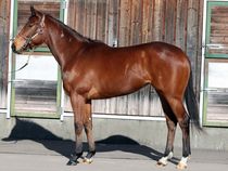 ����å��ǳ��������ɽ�����ޤ�