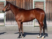 ����å��ǳ��������ɽ�����ޤ�