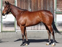 ����å��ǳ��������ɽ�����ޤ�