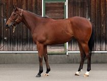 ����å��ǳ��������ɽ�����ޤ�