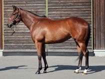 ����å��ǳ��������ɽ�����ޤ�