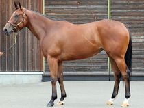 ����å��ǳ��������ɽ�����ޤ�