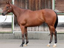 ����å��ǳ��������ɽ�����ޤ�