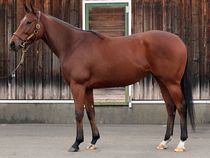 ����å��ǳ��������ɽ�����ޤ�