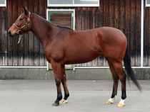 ����å��ǳ��������ɽ�����ޤ�