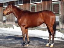 ����å��ǳ��������ɽ�����ޤ�