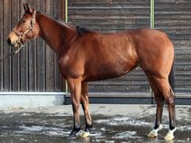 ����å��ǳ��������ɽ�����ޤ�