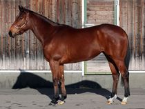 ����å��ǳ��������ɽ�����ޤ�