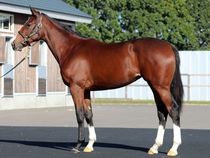 ����å��ǳ��������ɽ�����ޤ�