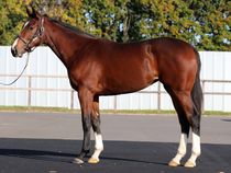 ����å��ǳ��������ɽ�����ޤ�