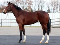 ����å��ǳ��������ɽ�����ޤ�