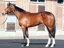 ����å��ǳ��������ɽ�����ޤ�