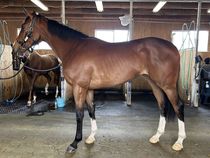 ����å��ǳ��������ɽ�����ޤ�