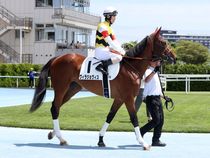 ����å��ǳ��������ɽ�����ޤ�