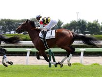 ����å��ǳ��������ɽ�����ޤ�