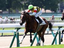 ����å��ǳ��������ɽ�����ޤ�