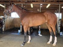 ����å��ǳ��������ɽ�����ޤ�