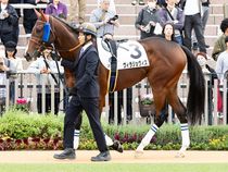 ����å��ǳ��������ɽ�����ޤ�