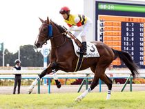 ����å��ǳ��������ɽ�����ޤ�