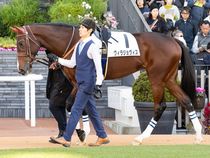 ����å��ǳ��������ɽ�����ޤ�