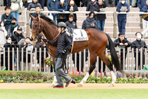 ����å��ǳ��������ɽ�����ޤ�