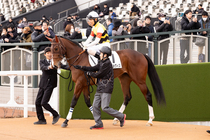 ����å��ǳ��������ɽ�����ޤ�