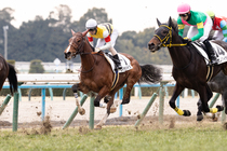 ����å��ǳ��������ɽ�����ޤ�