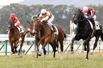 ����å��ǳ��������ɽ�����ޤ�