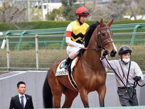 ����å��ǳ��������ɽ�����ޤ�