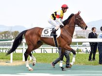 ����å��ǳ��������ɽ�����ޤ�