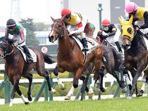 ����å��ǳ��������ɽ�����ޤ�