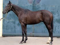 ����å��ǳ��������ɽ�����ޤ�