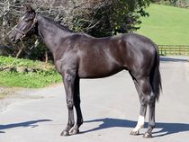 ����å��ǳ��������ɽ�����ޤ�