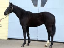 ����å��ǳ��������ɽ�����ޤ�