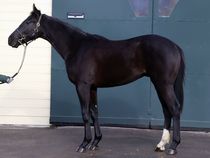 ����å��ǳ��������ɽ�����ޤ�