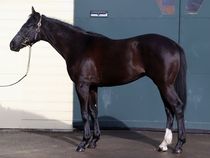 ����å��ǳ��������ɽ�����ޤ�