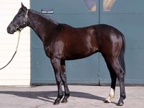 ����å��ǳ��������ɽ�����ޤ�