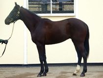 ����å��ǳ��������ɽ�����ޤ�